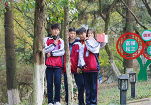 重庆公办电子商务职业学校有哪些学校